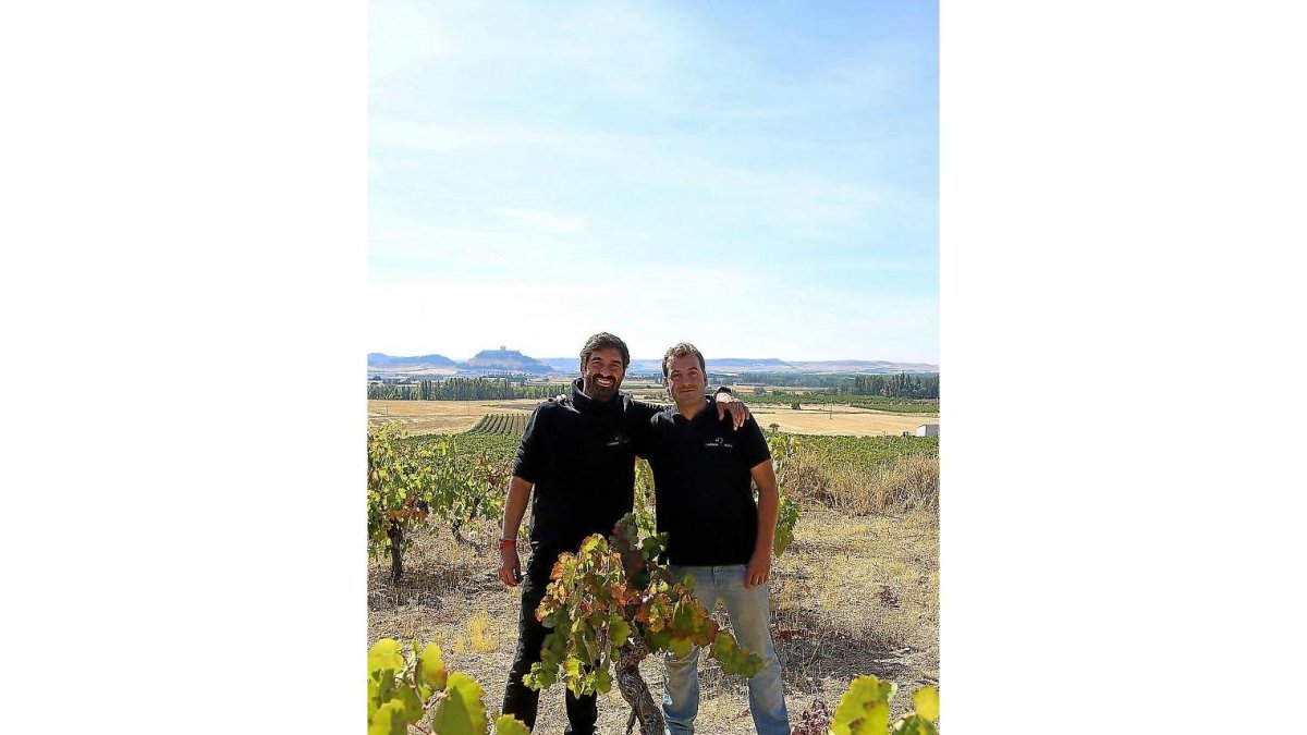 José Antonio Arévalo (i) y César Nuñez Piedrahita posan en una viña de Curiel.-M.T.