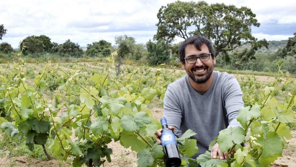 Javier Gajate, en la finca La Fuente Borrego de Sobradillo, junto a las cepas y su vino Vaélico.-ARGICOMUNICACIÓN