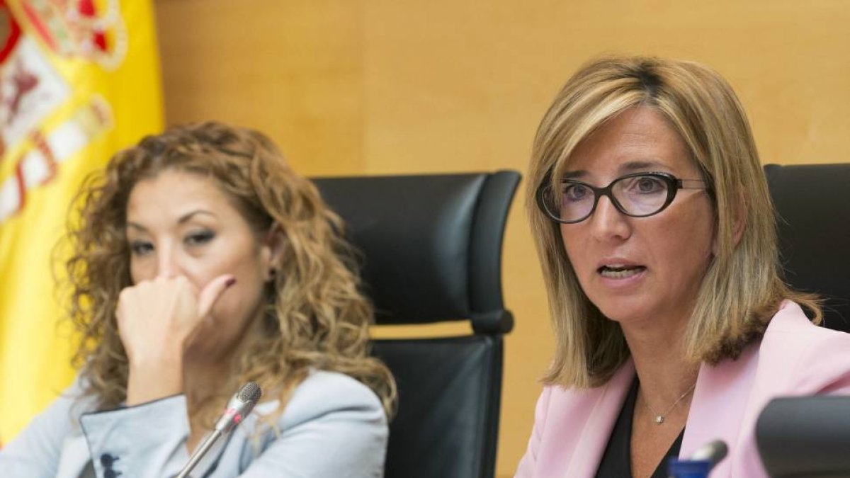 La consejera de Familia e Igualdad de Oportunidades, Alicia García, comparece en las Cortes para exponer el programa de actuaciones de su departamento en la presente legislatura.-ICAL