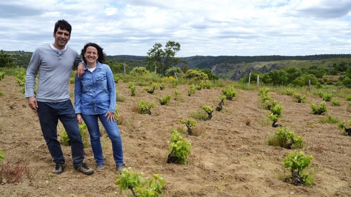 José Manuel y Liliana, en uno de sus pagos de viña vieja, en el arribe, junto al Duero.-ARGICOMUNICACIÓN