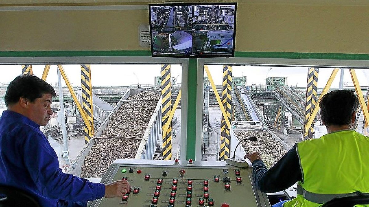 Dos operarios controlan la recepción de remolacha en las instalaciones de la cooperativa Acor en Olmedo (Valladolid), en una pasada campaña.-J. M. LOSTAU
