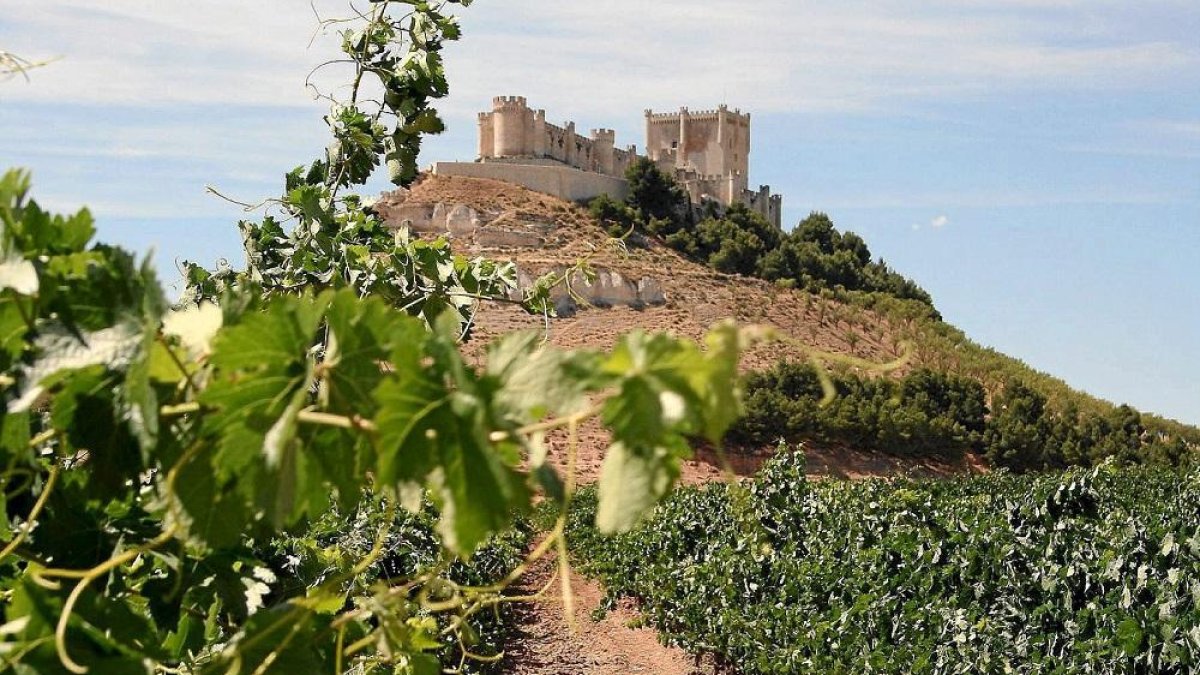 Museo Provincial del vino (Peñafiel, Valladolid). - E.M.