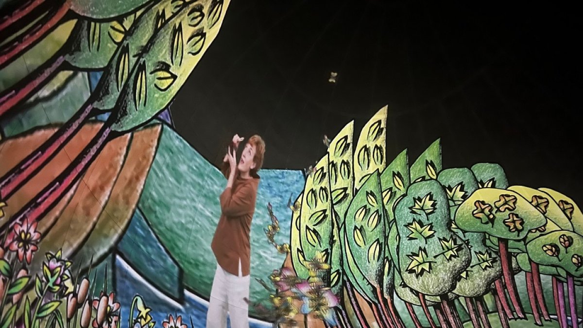 Proyección de 'Los sonidos del bosque'.- AQUAVALL