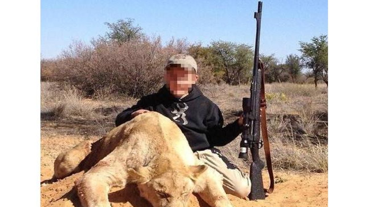 Un niño de siete años sostiene con la mano izquierda un rifle de casa y con la derecha acaricia el lomo del león que acaba de matar.-Foto: © TWITTER / ALLEN TARPLEY
