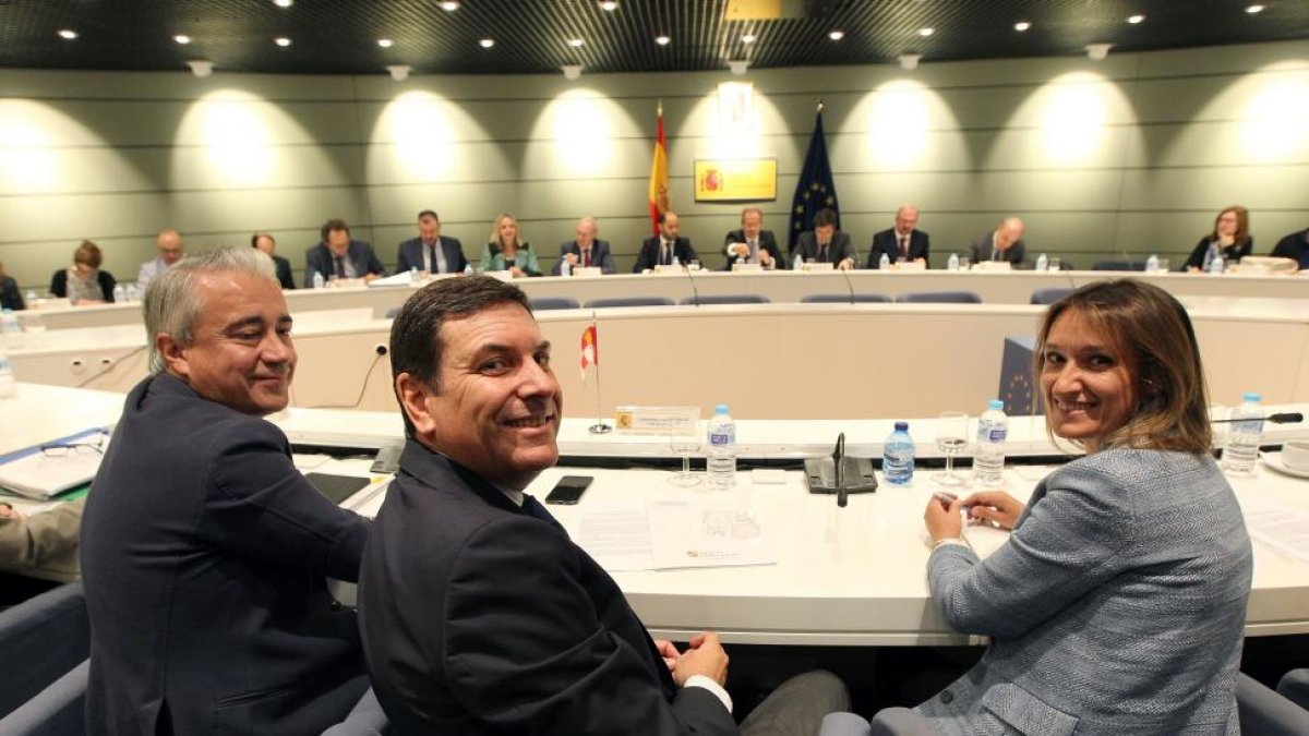 El consejero de Empleo, Carlos Fernández Carriedo, asiste a la LXVI Conferencia Sectorial Extraordinaria de Empleo y Asuntos Laborales.-ICAL