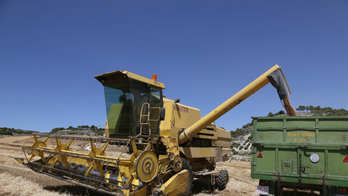 La renovación de maquinaria agrícola en Castilla y León tendrá que esperar en muchos casos debido a la inflación provocada por la guerra de Ucrania. / ICAL