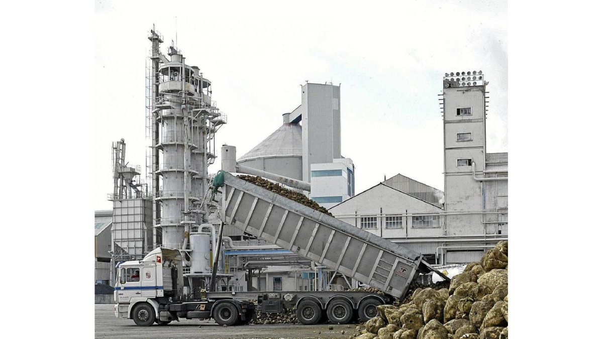 El conflicto de los remolacheros y Azucarera se tramita en la Corte de Arbitraje de Madrid. En la foto, planta de Toro.-ICAL