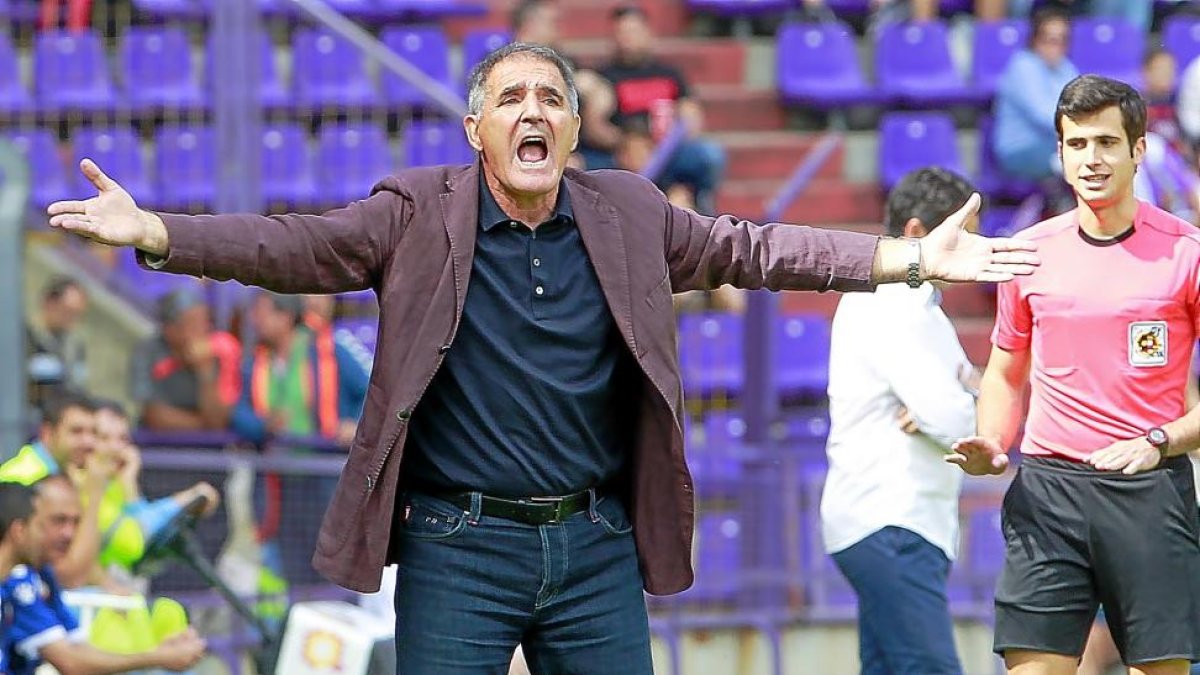 Paco Herrera se queja junto al banquillo durante el partido frente al Elche.-J.M.LOSTAU