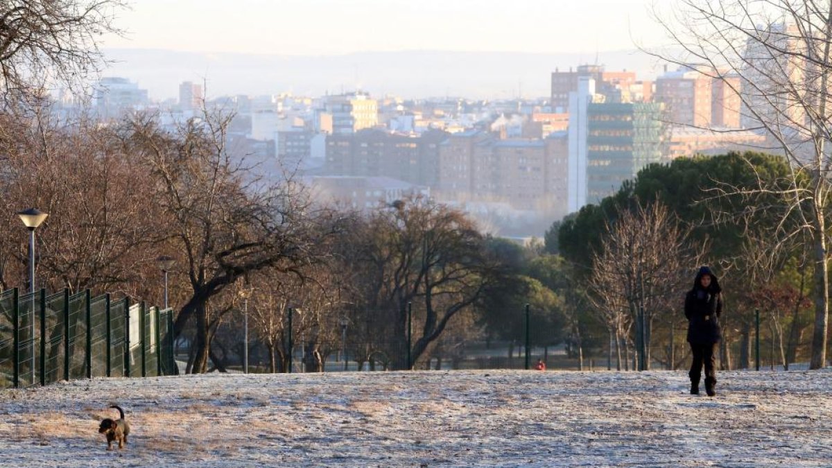 Jardines afectados por la sequía en Valladolid.-RUBÉN CACHO / ICAL