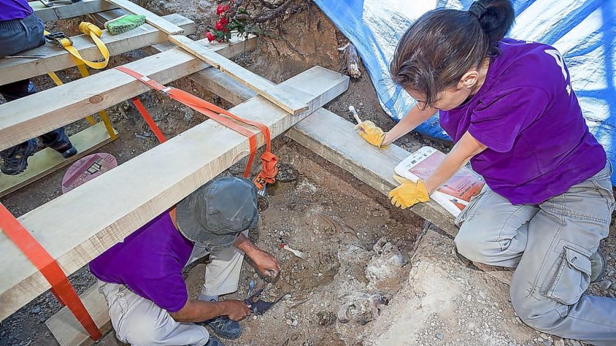 Excavaciones en la fosa de los fusilados en la Guerra Civil del Cementerio del Carmen.-P. REQUEJO