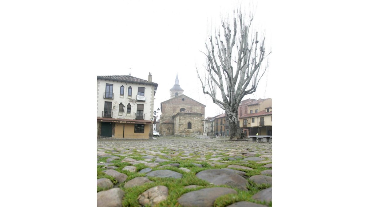 Plaza del Grano de León-ICAL