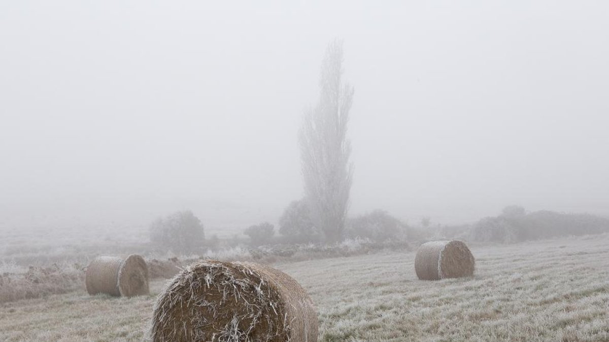 Las heladas serán generalizadas y persistirán durante toda la semana en Castilla y León.-ICAL