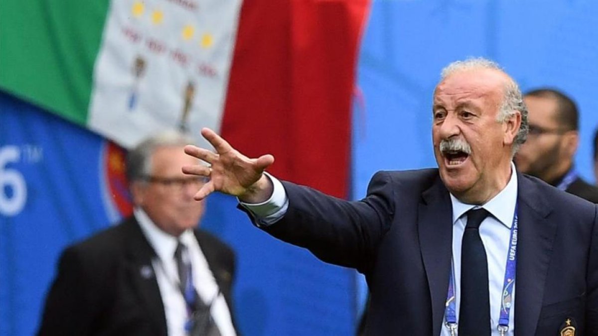 Del Bosque, durante el partido entre España e Italia del pasado lunes en el Eurocopa de Francia.-EFE / GIORGI LICOVSKI