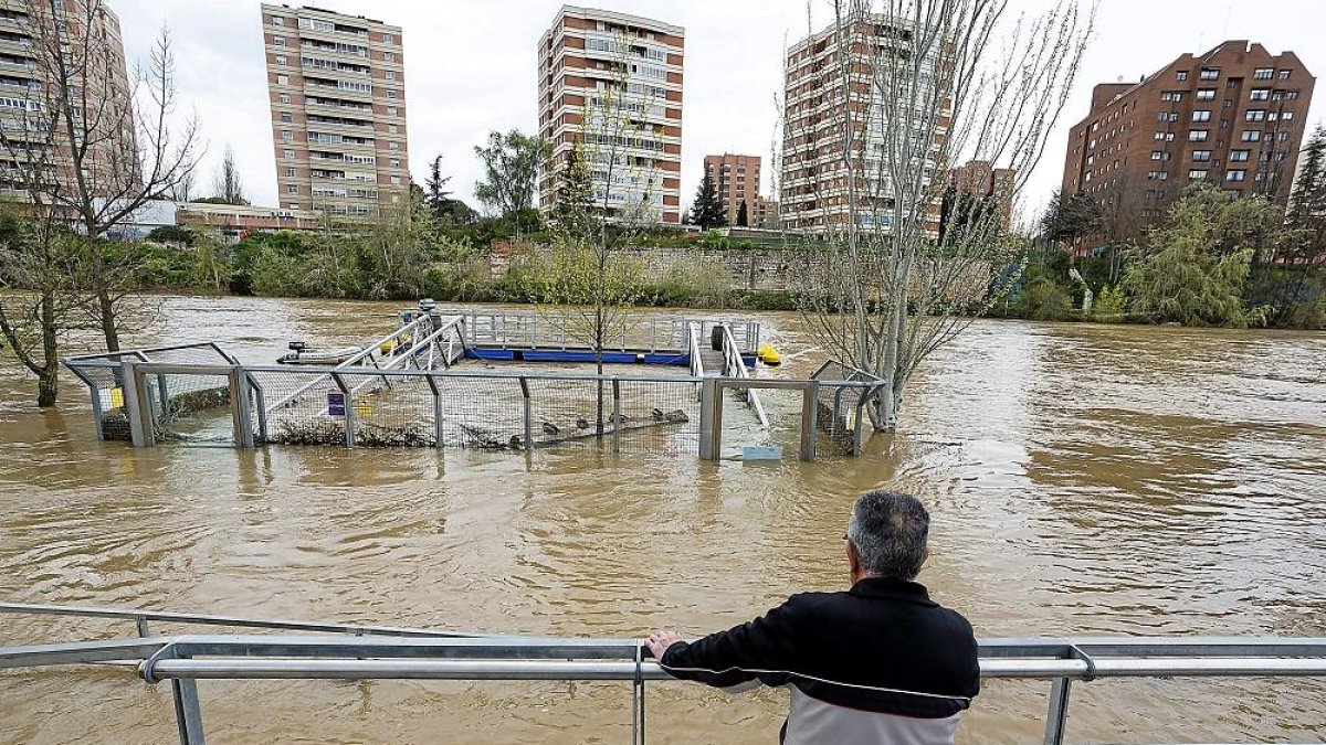 Un hombre contempla la crecida del Pisuerga a la altura de Las Moreras.-MIGUEL ÁNGEL SANTOS / PHOTOGENIC