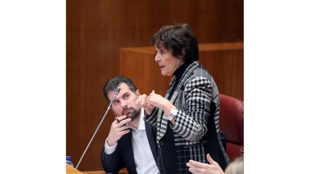 Procuradora socialista Mercedes Martín durante el Pleno de las Cortes de Castilla y León-ICAL
