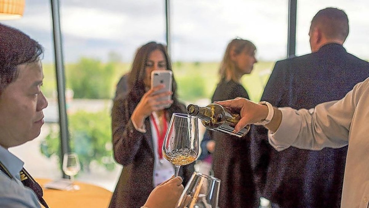 El vino como eje central del curso de enoturismo que da sus primeros pasos en el Castillo de la Mota.-E. M.