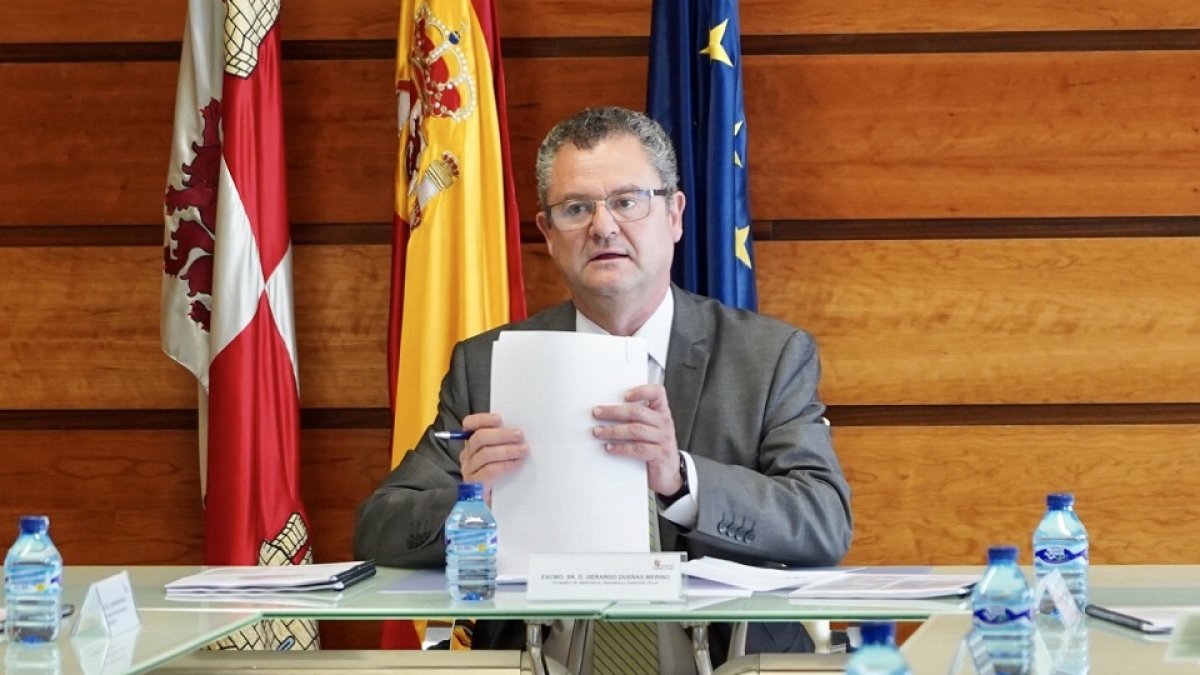 El consejero de Agricultura, Ganadería y Desarrollo Rural, Gerardo Dueñas, en una imagen de archivo. - ICAL