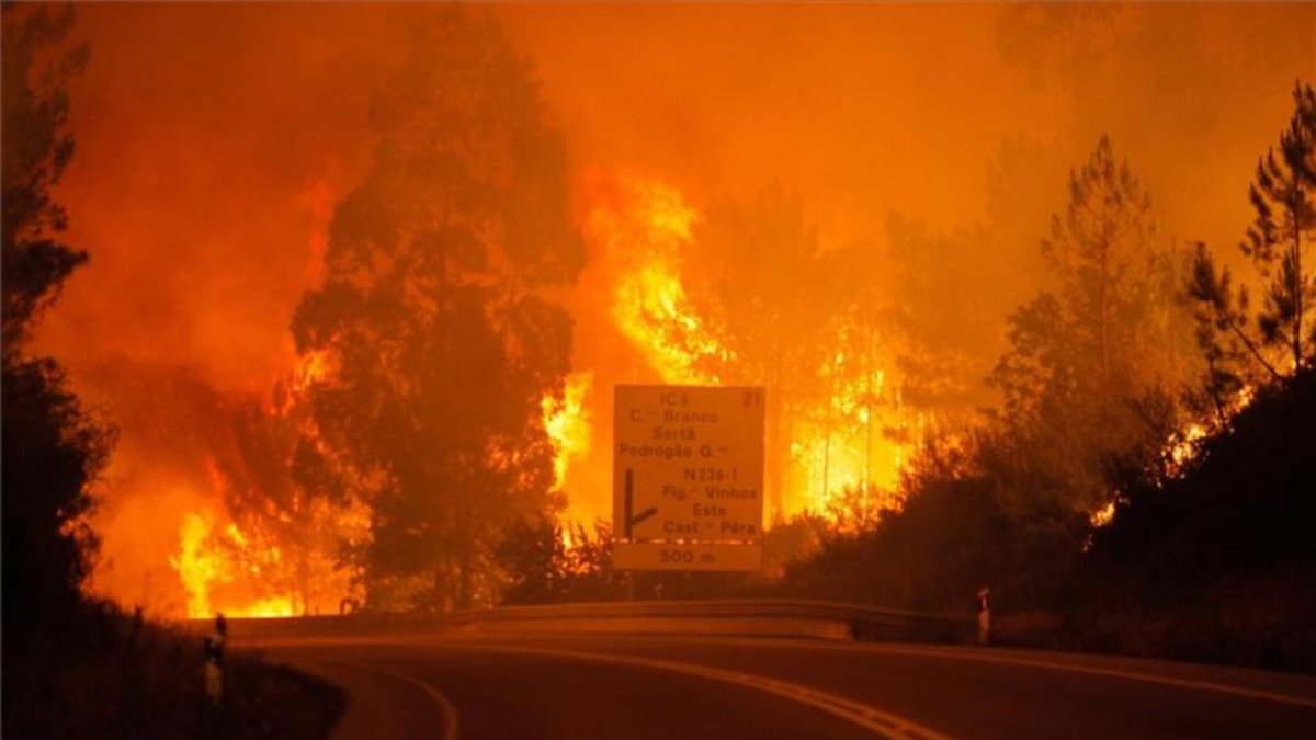 Imagen del incendio desatado en el centro de Portugal.-EFE