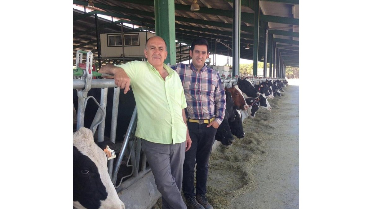 Severino y Ángel San Juán en su explotación de Villanueva de Duero con sus vacas frisonas.-M. C.