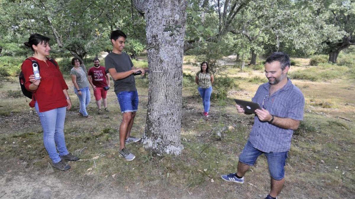 El grupo de investigadores que trabaja con Föra realizando trabajo de campo en un bosque.-VALENTÍN GUISANDE