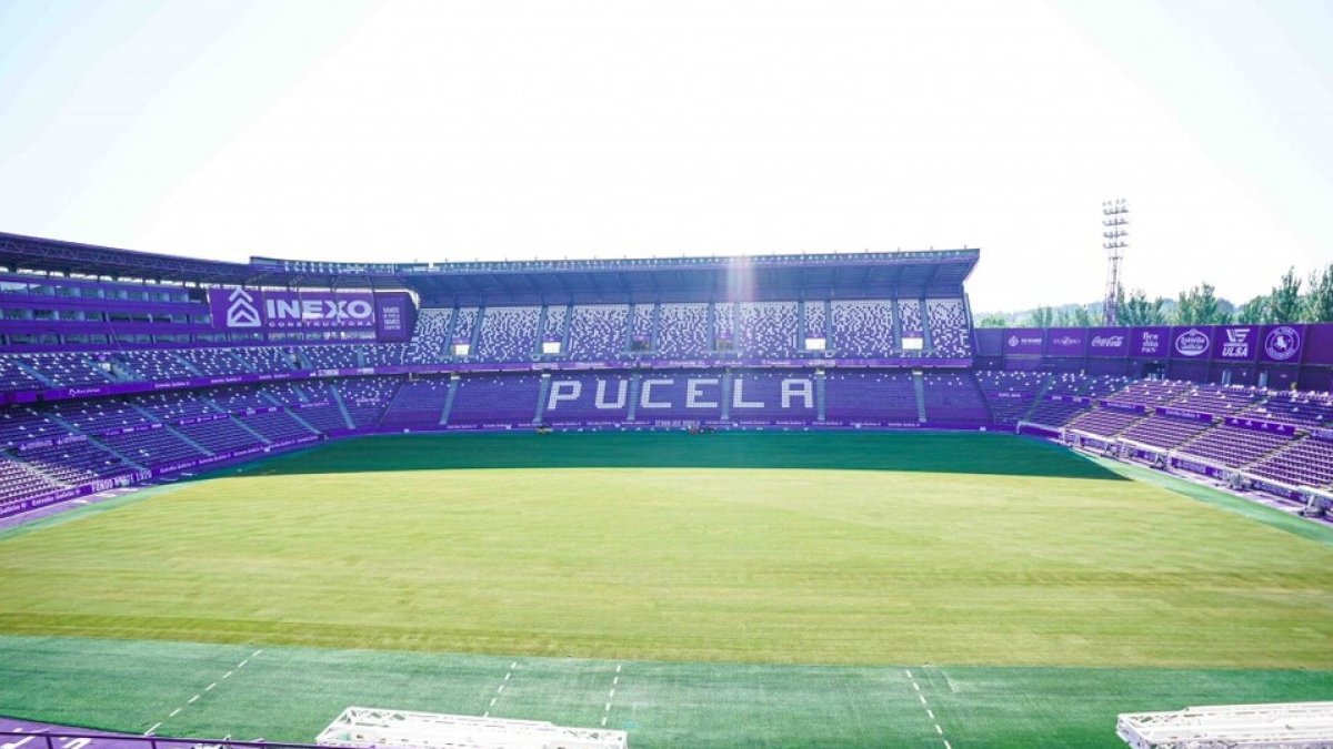 Estadio Zorrilla tras el cambio de césped. / RVCF / I. SOLA