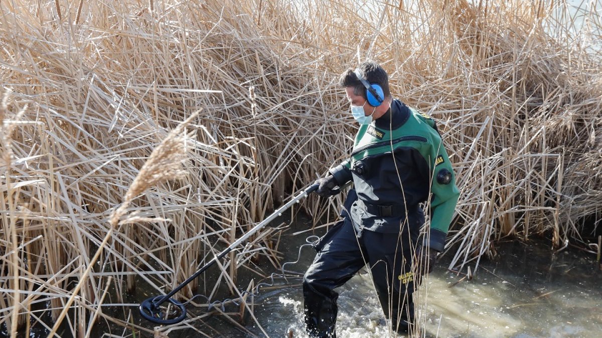 Un agente del Geas de Valladolid rastrea los juncos del lago artificial de Laguna con un detector de metales en busca del arma. - J.M. LOSTAU