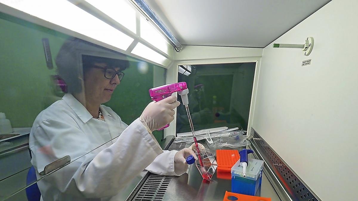 La investigadora Beatriz Durán en el Instituto de Biología y Genética Molecular.-REPORTAJE GRÁFICO: PHOTOGENIC / MIGUEL ÁNGEL SANTOS