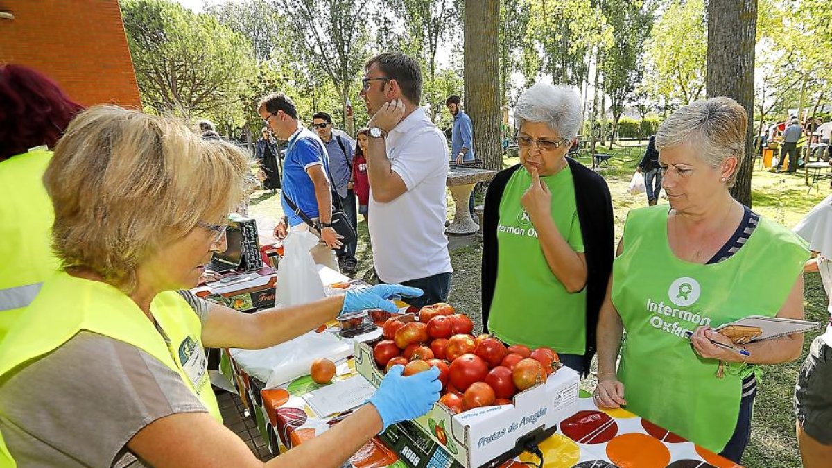 Los productos como tomates, patatas, pimientos y demás fueron donados por las Huertas Ecológicas y Urbanas.-J.M. LOSTAU
