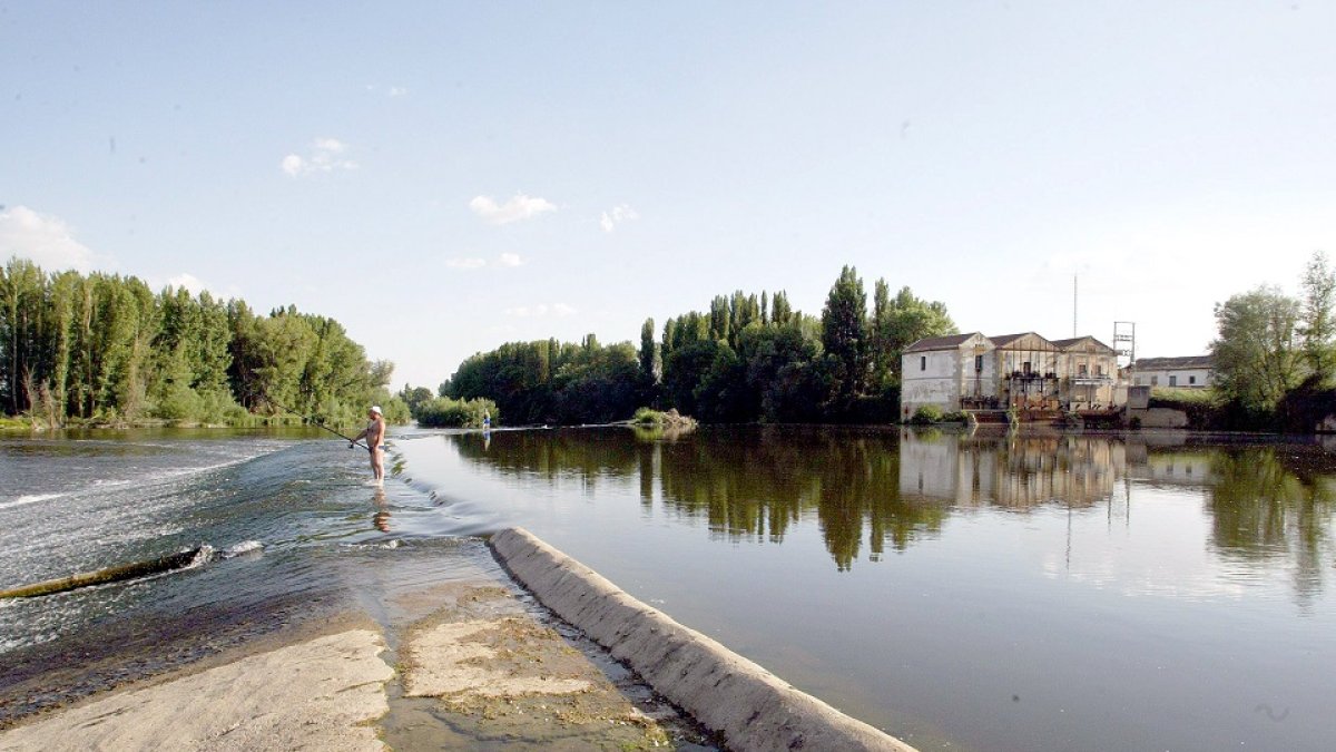 Paraje 'La Pesqueruela' en Valladolid. - E.M.