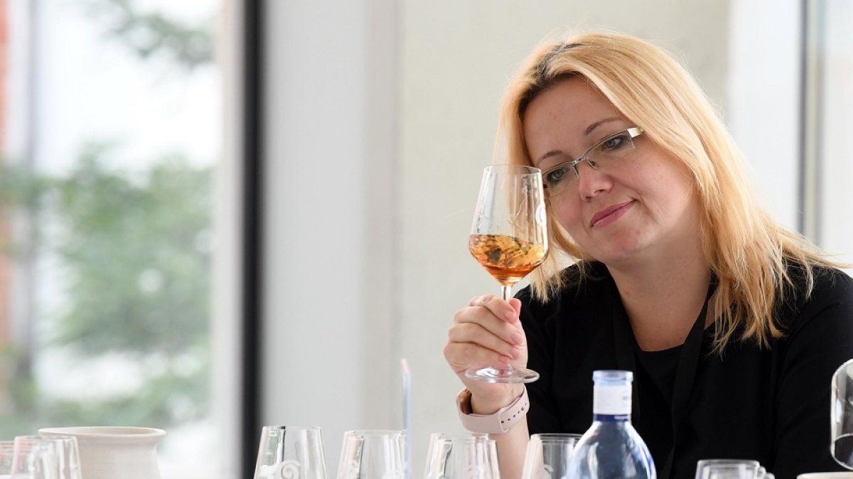 Premios Zarcillo 2018. - ICAL