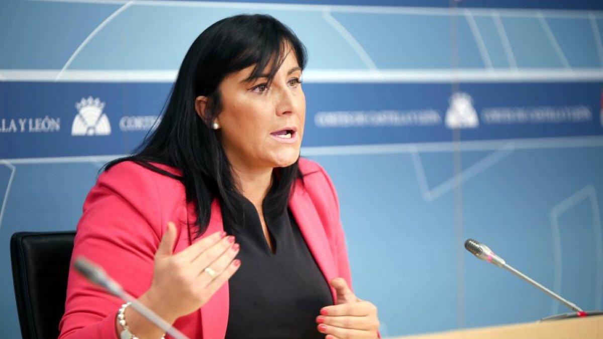 La secretaria de Organización del PSOE CyL y vicepresidenta de las Cortes, Ana Sánchez, analiza los asuntos de la actualidad política autonómica-ICAL