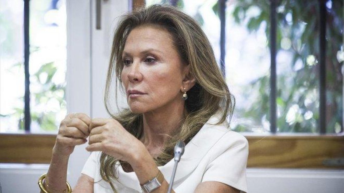 Alicia Koplowitz, en el verano del 2013.-MIGUEL LORENZO
