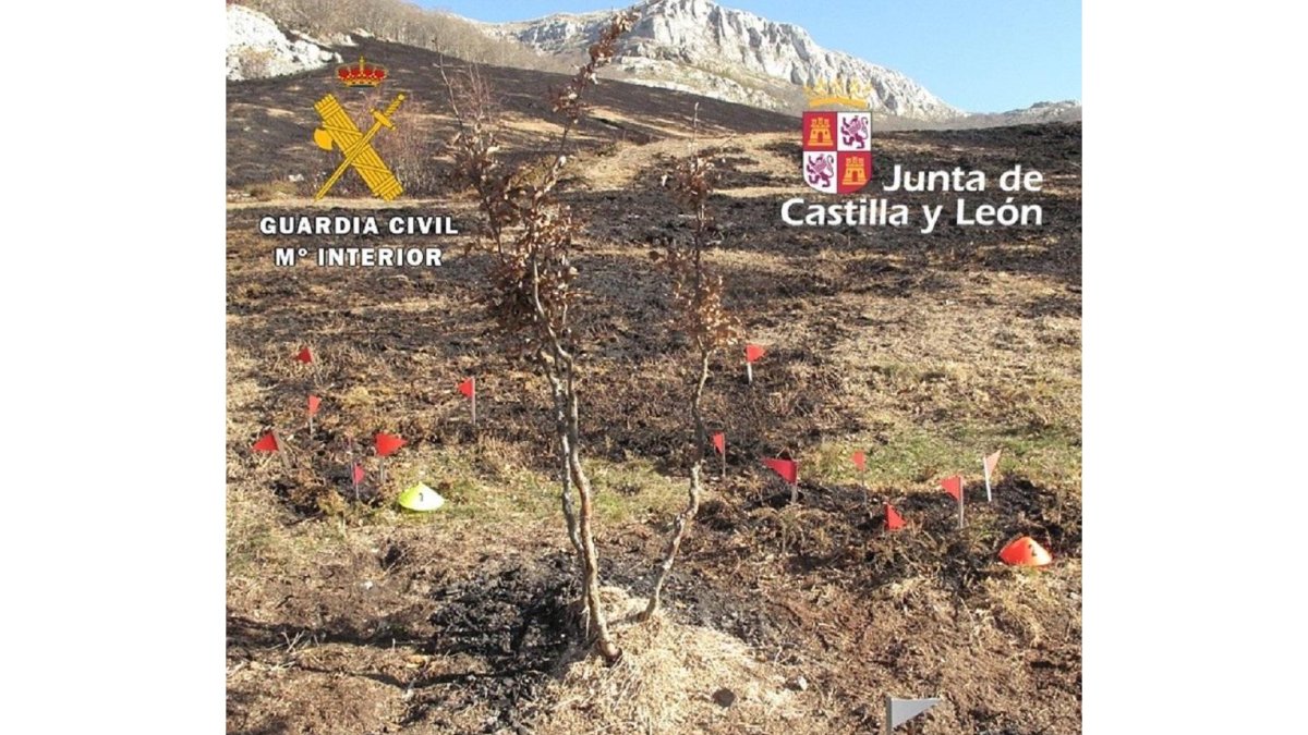 -GUARDIA CIVIL
