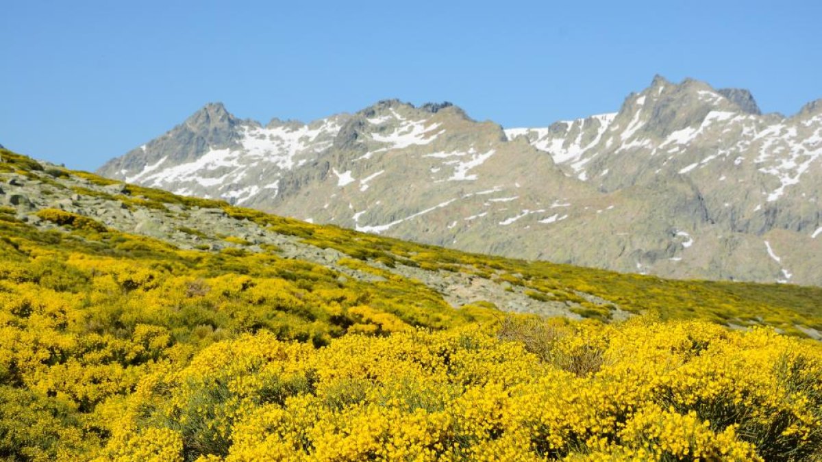 Aspecto que presentan las vertientes de  Gredos durante estas semanas-EDU HINOJAL. FOTOGRAFÍA