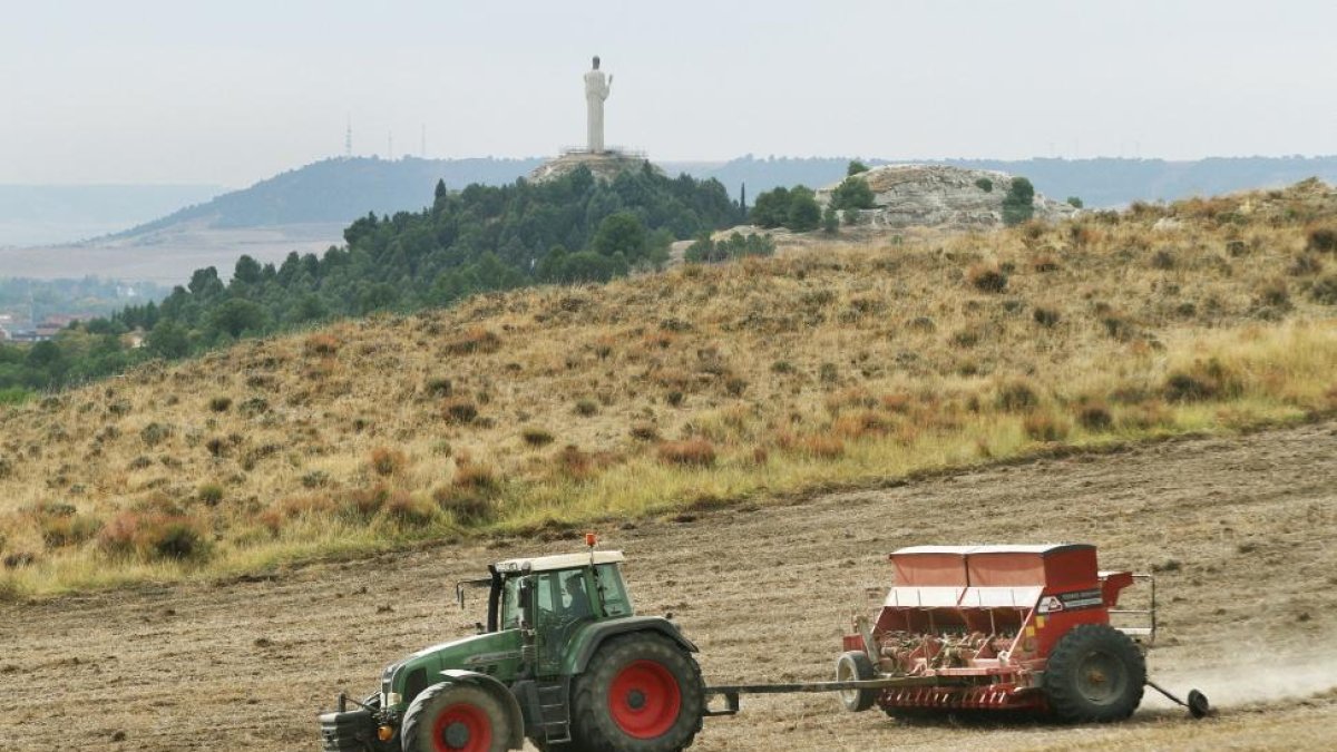 Un agricultor realiza labores de sementera en las inmediaciones de la capital palentina.-BRÁGIMO