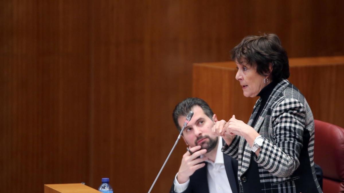 Mercedes Martín, en una intervención en las Cortes ante la atenta mirada de Luis Tudanca.-ICAL