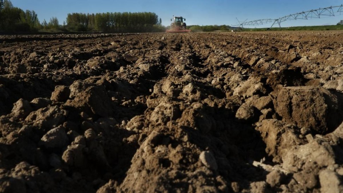 Un trabajador realiza distintas labores agrarias con su tractor en una parcela de la Comunidad. /-ENRIQUE CARRASCAL