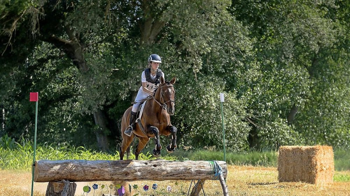 La vallisoletana Anastasia Lugan, campeona de España cadete, durante una prueba de TREC a lomos de su caballo ‘Camarón’.-EL MUNDO