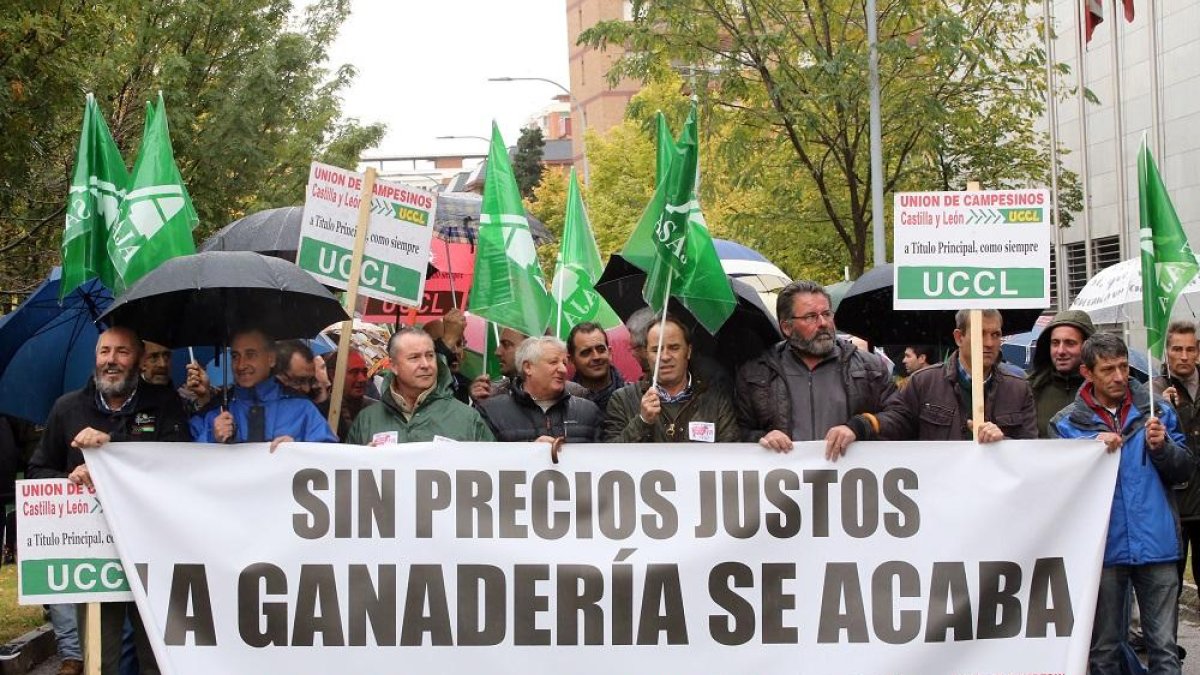 Cabecera de la concentración con los responsables de las organizaciones agrarias.-ICAL