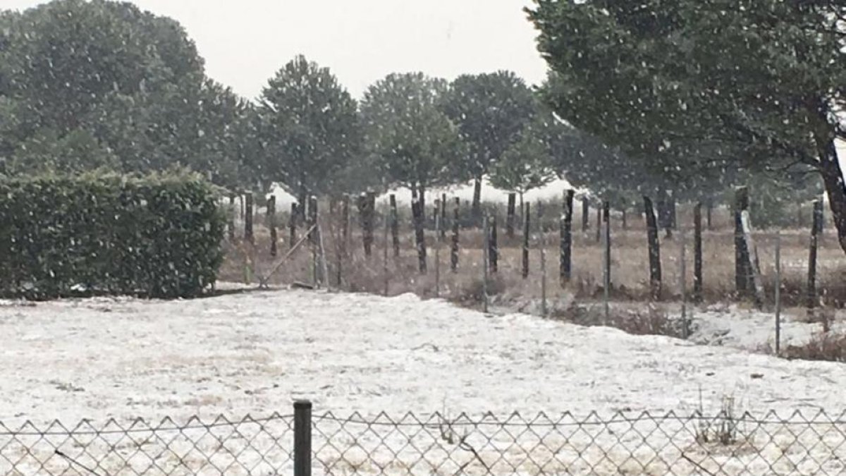 La nieve llega a Valladolid.-E.M.
