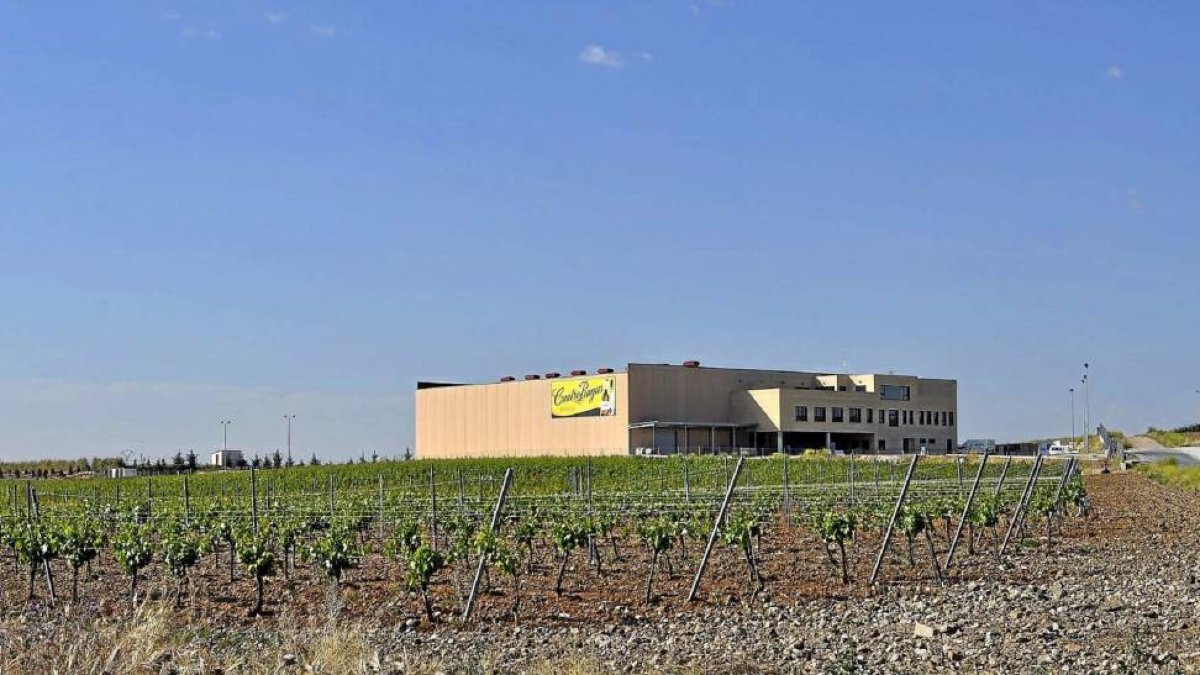 Imagen de la primera fase ya construida de la nueva bodega que Cuatro Rayas promueve en La Seca.-I.M.