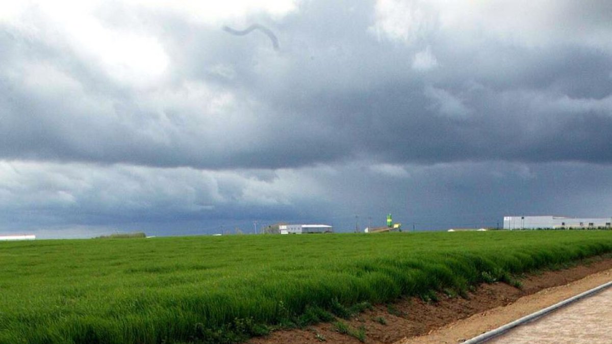 Tramo de la vía verde de la localidad vallisoletana de Villalón de Campos en el que se conserva un raíl del tren burra.-ICAL