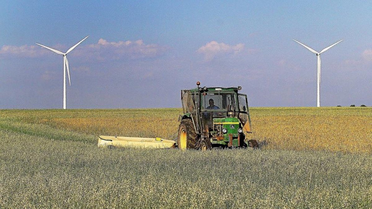 Un trabajador segando avena en verde para forraje en la localidad palentina de Becerril de Campos.-BRÁGIMO