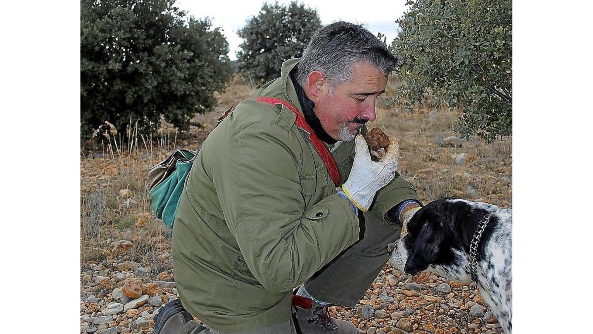 Un recolector de trufa valora un ejemplar recién encontrado por su perro.-E. M.