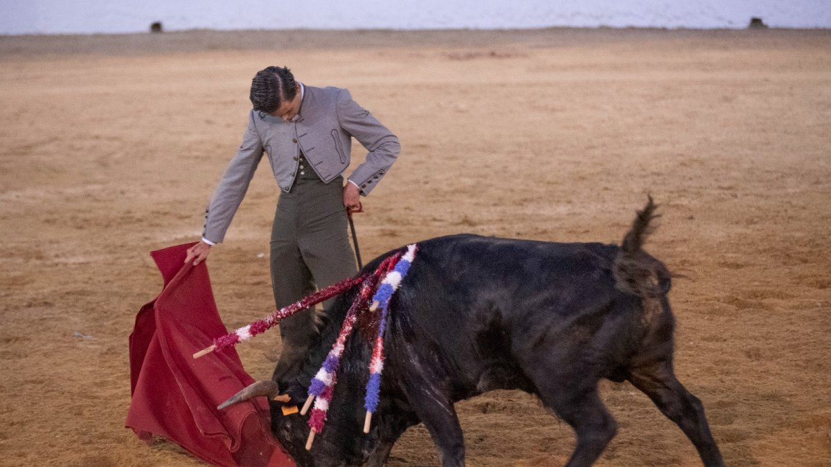 Muletazo de Daniel Medina a un novillo de Toros de Tierz/ D. V.
