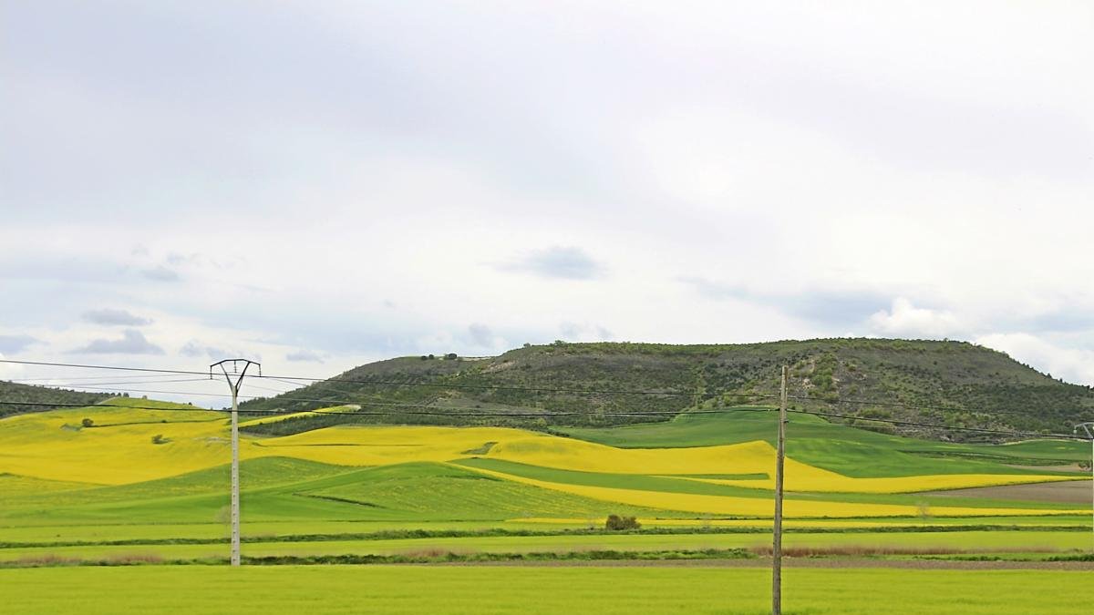 Campo de cultivo en el Valle del Esgueva.-EL MUNDO