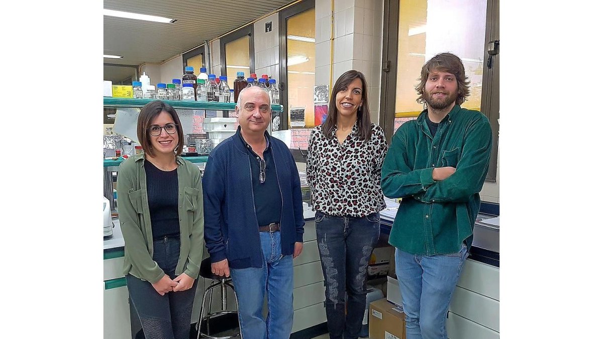Los investigadores Verónica Castilla Gómez de Agüero, Rafael Balaña Fouce, María Martínez Valladares y Javier Gandasegui.-EL MUNDO
