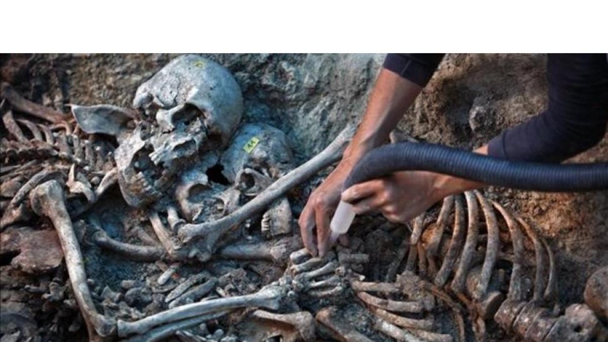 Trabajos de exhumación de una fosa en Gurb.-MARC VILA