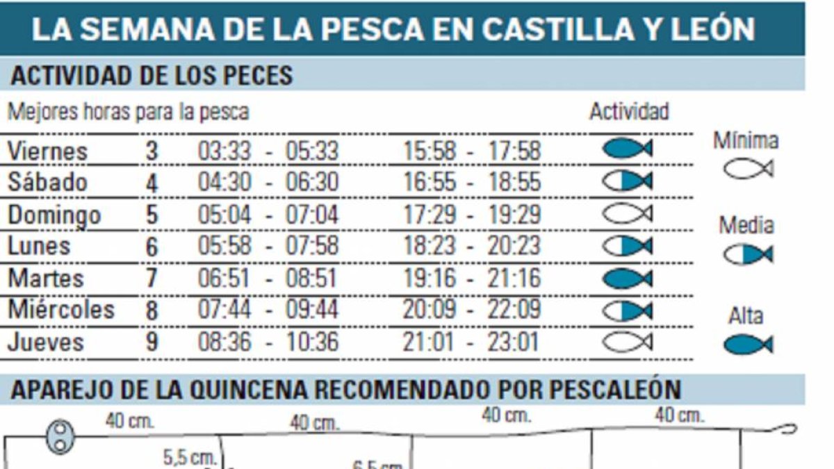 La semana de la pesca en Castilla y León-El Mundo de Castilla y León.