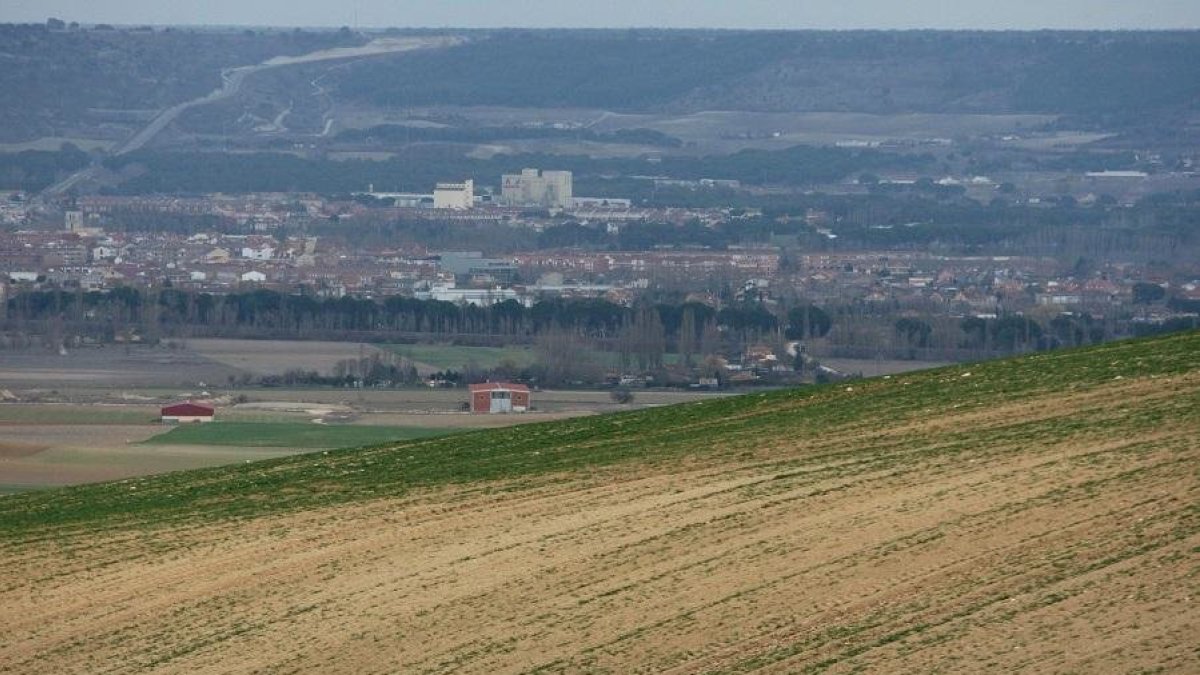 CAMPO